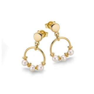 Edler Ohrschmuck – 585/- SWZP